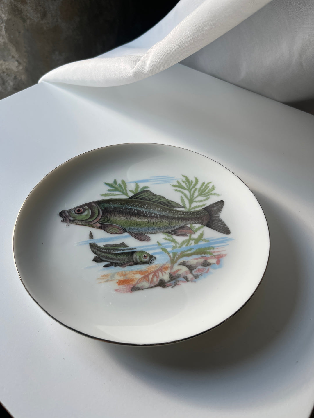 Fischteller Japanisch