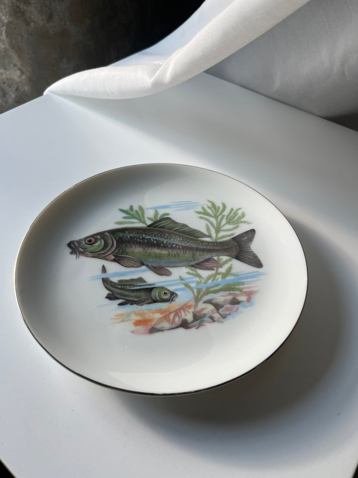 Fischteller Japanisch