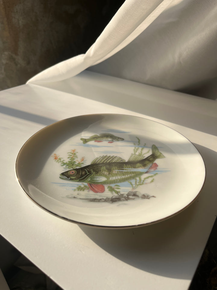 Fischteller Japanisch