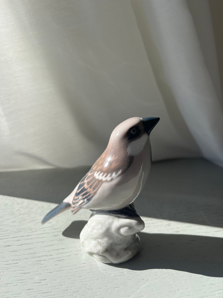 Bing & Grøndahl  Gråspurv