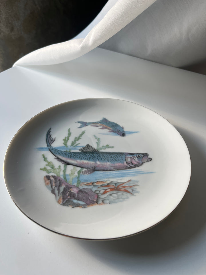 Fischteller Japanisch