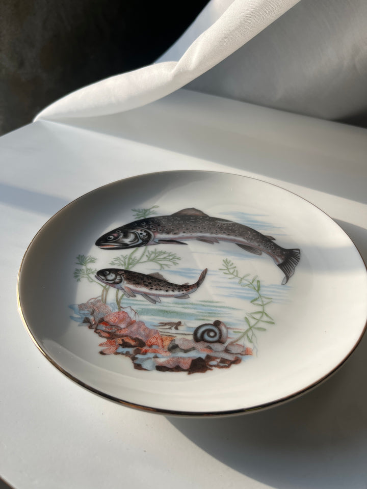 Fischteller Japanisch