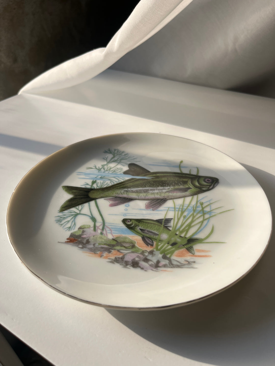 Fischteller Japanisch