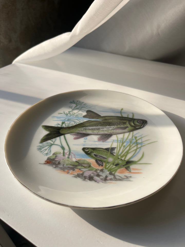Fischteller Japanisch