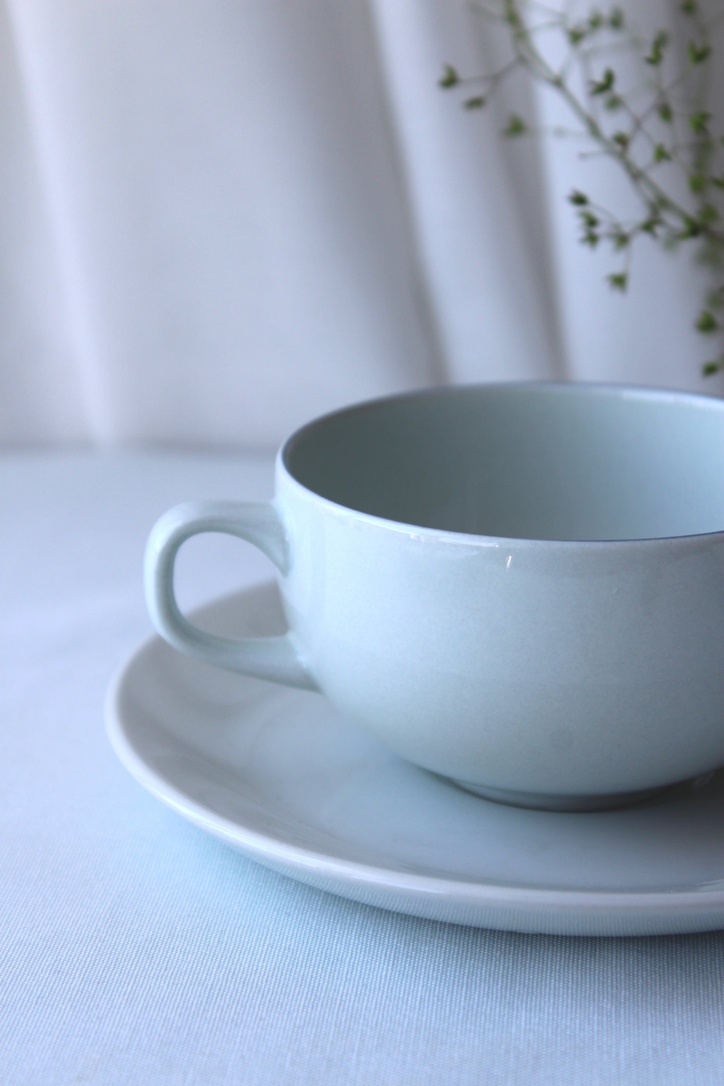 Royal Copenhagen Blue edge-The cups and saucers