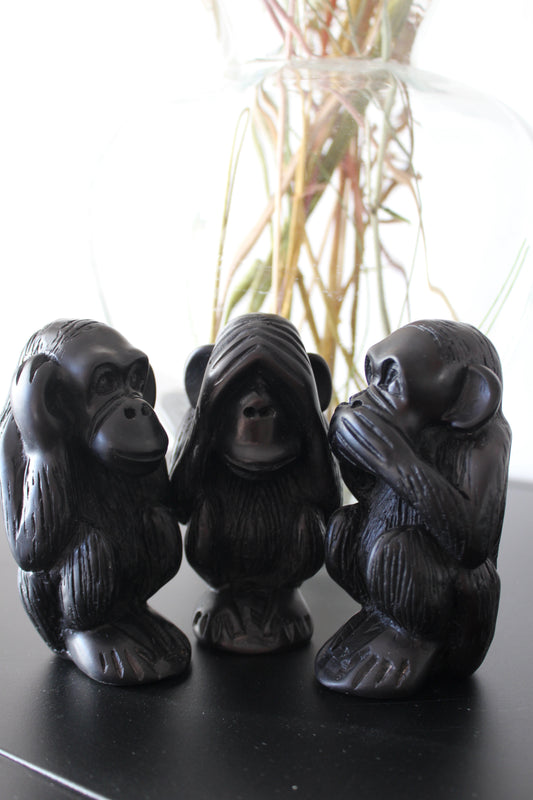 Monkeys of wisdom